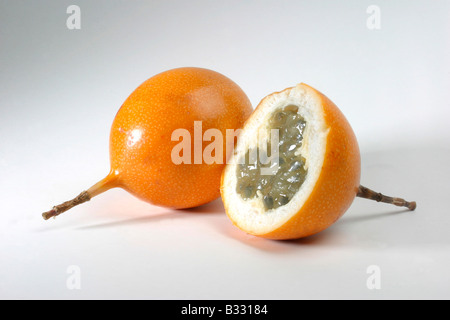Passiflora Ligularis, süße granadilla Stockfoto
