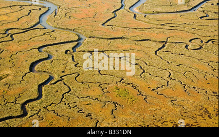 Luftaufnahme von Salzwiesen in der Nähe von Scolt Head North Norfolk Küste Stockfoto