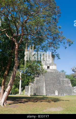 2 Tempel innerhalb der Grand Plaza Tikal Petén, Guatemala Stockfoto