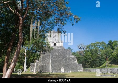 2 Tempel innerhalb der Grand Plaza Tikal Petén, Guatemala Stockfoto