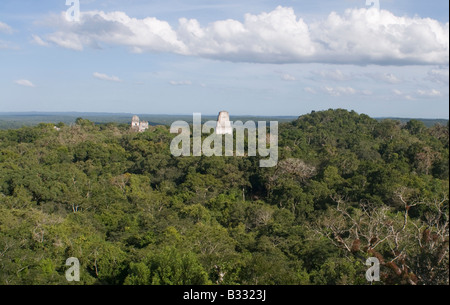 Tempel erhebt sich über dem Regenwald in Tikal angesehen vom Tempel 1V Guatemala Stockfoto