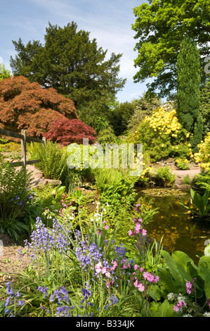 Viktorianischer Rootree Garten, Arley Hall & Gärten, Cheshire, England, Vereinigtes Königreich Stockfoto