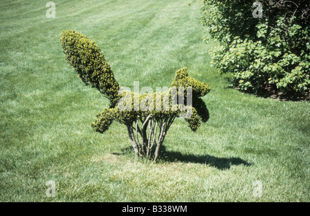 Formschnitt Fuchs mit seinem Schweif hoch Grenzen entlang am Rand des Rasens. Ladew Topiary Gardens Stockfoto