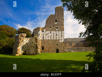 Oxwich Burg, Gower in Süd-Wales, UK Stockfoto