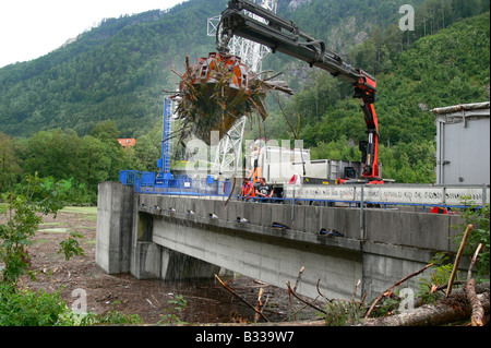 Holz nach einem Hochwasser angeschwemmt Stockfoto