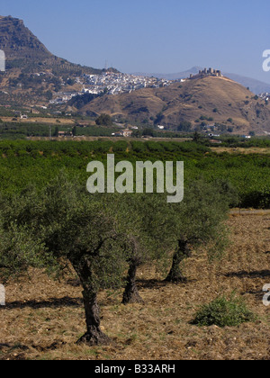 Blick auf das Dorf Alora, Malaga, Costa Del Sol, Andalusien, Spanien Stockfoto