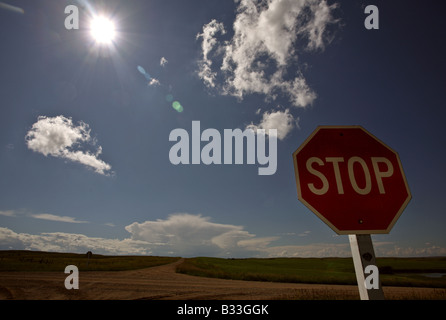 Stop-Schild am Scheideweg Saskatchewan Stockfoto