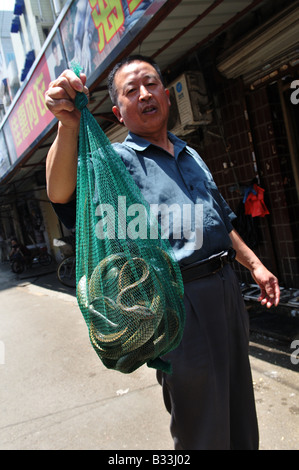 Schlangen auf den Verkauf in einem lokalen chinesischen Markt Stockfoto