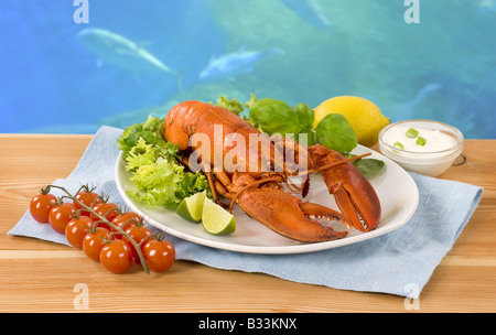 Hummer mit Gemüsebeilage Stockfoto