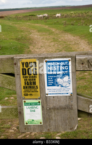 Hinweisschilder für Hunde an der Leine unter Vieh halten, North Yorks Moors, Nr Levisham, Nordengland Stockfoto