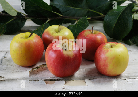 Fünf Reifen Äpfel essen Stockfoto