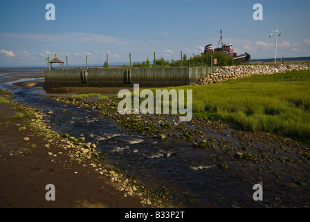 Ein altes Schiffbruch Holzboot auf dem St.Lawrence River Küste Stockfoto