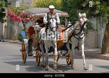 ISTANBUL. Ein Phaeton (Pferdekutsche) auf Buyukada, eines der Prinzeninseln im Marmarameer. 2008. Stockfoto