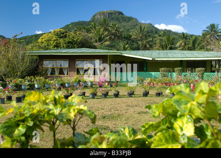 Haus in Rarotonga-Cook-Inseln Stockfoto