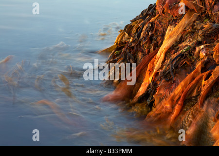 Eine Studie der Bewegung des Wassers in Steingrimsfjordur in der West-Fjorde Islands Stockfoto