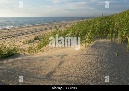 Dünen und Strand an der Ostseeküste in der Nähe von Nida Kurische Nehrung Nationalpark Litauen Stockfoto