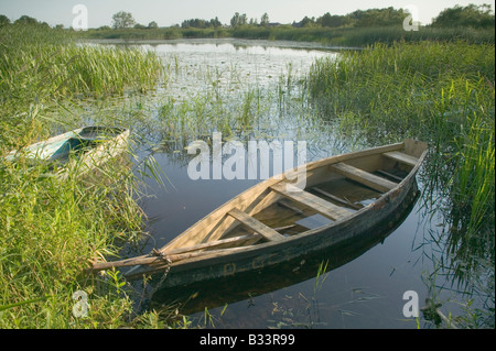 Eine sumpfige Boot vertäut Schilf am See Tyla Birzai Litauen Stockfoto