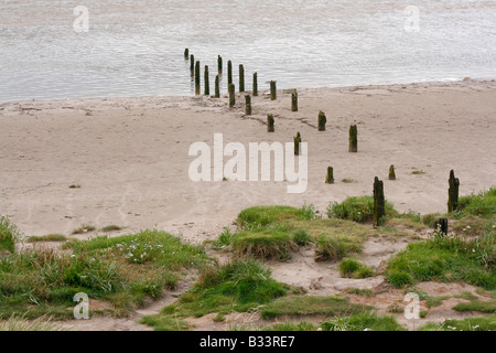 Arnside, Cumbria, Lake District, Großbritannien.  Leistungsschalter & niedrigen Dünen an der sandigen Küste-Mündung. Stockfoto
