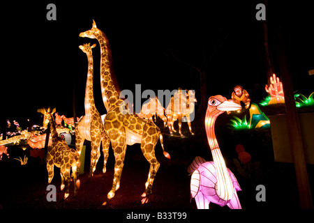 Laterne setzen Tiere von Afrika - chinesische Laternenfest in Toronto Stockfoto