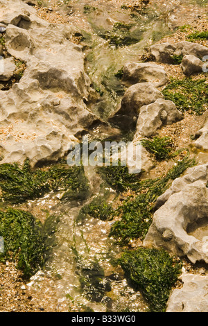 Frisches Wasser läuft durch einen Rock-Kanal zum Meer am Strand von Porthcawl Stockfoto