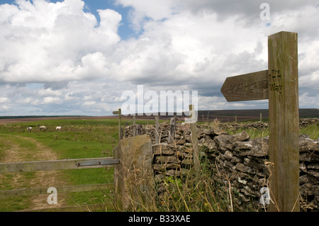 Goathland Wanderweg unterzeichnen Weg, North Yorks Moors, Nr Levisham, Nordengland "The Inn Weg" Stockfoto