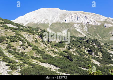 Herrlichen Blick auf den weißen farbigen Flanken des Vihren Gipfel 2914m vom Vihren Hütte im Nationalpark Pirin Bulgarien gesehen Stockfoto