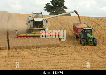 Mähdrescher, sammeln ihre Ernte auf urbaren Ackerland in der Nähe von Leighton in Shropshire Stockfoto
