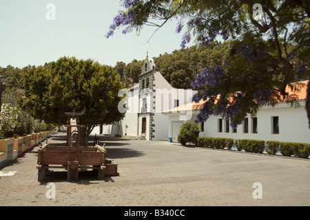 Lagar einer herkömmlichen Maschine zur Zerkleinerung von Trauben zu Most dient zum Wein unter einem Jacaranda-Baum La Palma Kanarische Inseln Stockfoto