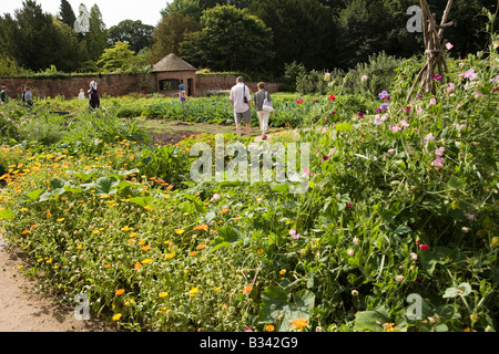 UK Cheshire Knutsford Tatton Hall Küchengarten Menschen bewundern Gemüse Ernte Stockfoto