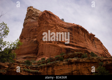 Hoch aufragenden roten Canyon Felswand am Boynton Canyon, Sedona, Arizona USA Stockfoto