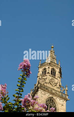 Die Kathedrale unserer lieben Frau Mariä Himmelfahrt, Bozen, Italien, gesehen vom Waltherplatz im Hochsommer. Stockfoto