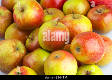 ÄPFEL Stockfoto