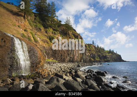 Ein Blick auf Cockpit Wasserfall umgeben von Felsen und Norfolk Pine Bäume an einem hellen Wintertag in Norfolk Island, Australien Stockfoto