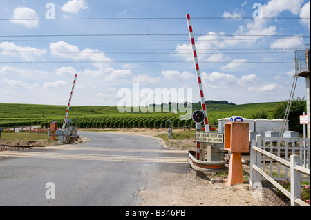 Unbemannte Bahnüberquerung und Weinberge am Bahnhof Avenay Val d’Or, Frankreich Stockfoto