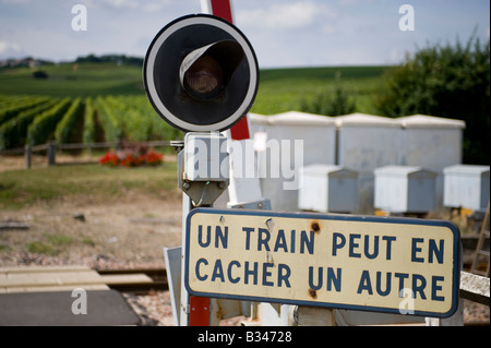 unbemannte Bahnübergang und Weinberge in Avenay Val d ' or-Bahnhof, Champagne-Ardenne, Frankreich Stockfoto