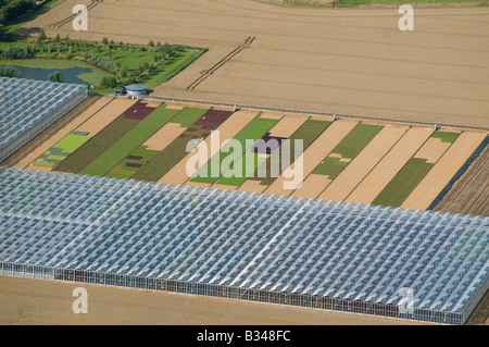 Luftaufnahme des kommerziellen Kindergarten Gewächshäuser, Norfolk, england Stockfoto