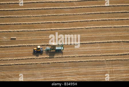 Luftaufnahme von Zugmaschine und Anhänger in abgeernteten Weizenfeld, Norfolk, england Stockfoto