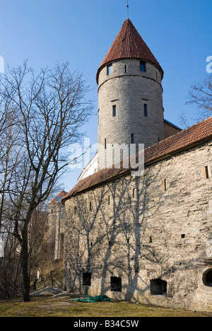 Die Stadtmauer, mit einer Reihe von Türmen entlang seiner Länge, umgibt die gut erhaltene mittelalterliche Altstadt von Tallinn, Estland. Stockfoto