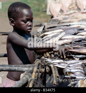 Uganda, Albertsee, Bugoigo. Kleine Fische, die gefangen in Lake Albert, einschließlich Tilapia (Tilapia Nilotica) und Mpoi (Citheriaus Citherus), sind vor dem Transport zu den Städten und Handelszentren in anderen Teilen des Landes sonnengetrocknete auf Holzgestellen. Stockfoto