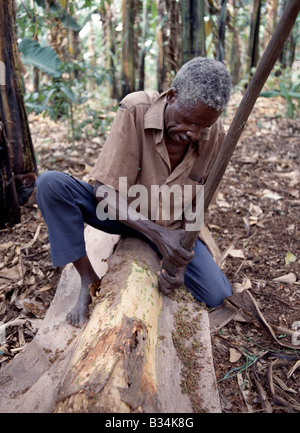 Uganda, Osten Ugandas, Masaka. Die BaGanda und andere Bantu sprechenden Völker Ugandas machen noch Stoff aus der Rinde von bestimmten Bäumen, die mit traditionellen Methoden. Heutzutage wird das Tuch vor allem als Wanten verwendet. Nachdem die Rinde von einem Feigenbaum (Ficus Natanensis) abgestreift worden ist, sind Bananenblätter rund um den Stamm zur Förderung der Regeneration der Rinde in den folgenden zwölf Monaten gebunden. Dann ist die harte äußere Rinde abgeschabt, um die weiche Innenlage zu verlassen. Stockfoto