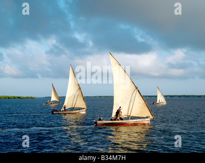 Kenia, Kisingitini, Insel Pate. Kurz nach Sonnenaufgang jeden Tag sticht die Fischereiflotte aus dem geschützten, natürlichen Hafen von Stockfoto