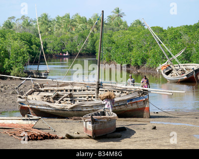 Kenia, Insel Pate, Siyu. Hölzerne Segelboote Anker am Ende der Mangroven gesäumte Gezeiten Kanal Siyu Dorf am Pate Island.Siyu wurde im 15. Jahrhundert gegründet und in seiner Blütezeit hatte 30.000 Einwohner; Mittlerweile gibt es weniger dann 4.000 Menschen, die dort leben. Gleichzeitig eine kleinliche Sultanat unter eigener Herrscher, Siyu blieb mehr oder weniger unabhängig und ein Dorn im Fleisch des Sultans von Sansibar bis loyalen Truppen des Sultans im Jahre 1847 besetzt und eine beeindruckende Festung gebaut. Stockfoto