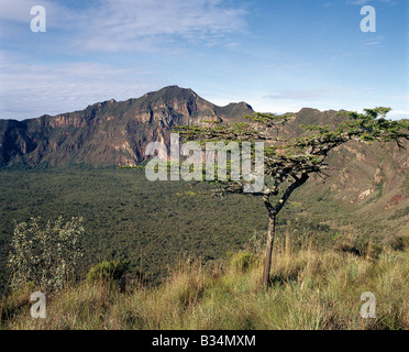 Kenia, Naivasha, Longonot Vulkan. Mount Longonot ist wegen seiner Form unverkennbar vulkanischen Ursprungs und erhebt sich bis zu einer Höhe Stockfoto