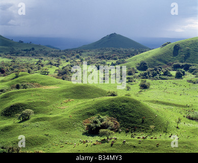 Kenia, Kibwezi, Chyulu Hills. Kegelförmige Hügel punktieren die Landschaft auf 7.000 Fuß hohe Chyulu Hills. Diese schöne Strecke ist relativ jungen vulkanischen Ursprungs. Stockfoto