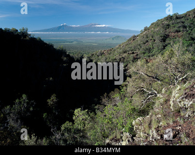 Kenia, Tsavo, Chyulu Hills. Ein Blick auf den Kilimandscharo von den vulkanischen Chyulu Hügeln, einige fünfzig Meilen entfernt. Kibo, die abgerundeten schneebedeckte Kuppel auf der rechten Seite ist der höchste Berg in Afrika, stehen bei 19.340 Fuß über dem Meeresspiegel. Mawenzi (auf der linken Seite) ist 16.900 Fuß hoch. Stockfoto