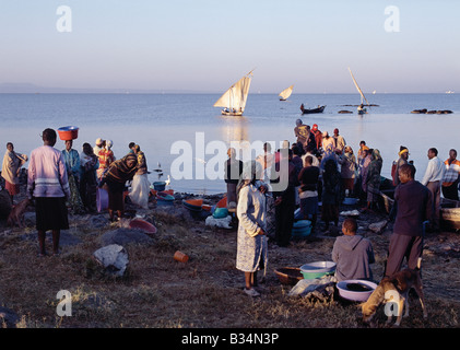 Kenia, Provinz Nyanza, Kisumu. Die ganze Nacht gefischt im seichten Wasser des Lake Victoria Kavirondo Golf in der Nähe von Kisumu, zurück Fischer Dunga Strand kurz nach Sonnenaufgang wo drängeln sich Männer und Frauen, um ihren Fang von Tilapia, Viktoriabarsch und die kleinen Engraulicypris Arten zu kaufen. Das Holzboot, die sie verwenden ist Sese Kanu nach Uganda Sese-Insel-Archipel genannt wo die Bewohner dieses Designs gebaut. Die meisten Bootsbesitzer haben zwei Mannschaften um ihr Handwerk zu einen 24-Stunden-Zyklus arbeiten zu ermöglichen. Die Fischerei in der Nacht anzuziehen Fisch zu ihren Booten mit Paraffin-Hochdrucklampen. Stockfoto