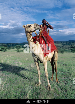 Kenia, Provinz Rift Valley, Magadi. Ein Massai-Krieger spricht von den "Sattel" von seinem Kamel in der Nähe von Lake Magadi im kenianischen Rift Valley Province auf seinem Handy. Mobiltelefone sind eine beliebte Methode der Kommunikation mit Familie und Freunden in den Remotebereichen von Kenia. Obwohl die Maasai Kamele üblicherweise nicht einhalten, ist ein Großteil der semi-ariden Land der südlichen Maasailand für Kamele besser geeignet als Vieh. Stockfoto