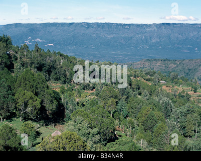 Kenia, Provinz Rift Valley, Kabarnet. Eine schöne Aussicht von den kultivierten hängen von den Tugen Hills über das Kerio Valley Keiyo Böschung steigt in die Ferne schauen. Diese Böschung bildet die westliche Wand des Gregory Rift - eines der spektakulärsten erstreckt sich von Afrikas bemerkenswert großen afrikanischen Grabenbruch. Oberen Rand der Böschung steigt auf über 8,00 Füße. Stockfoto