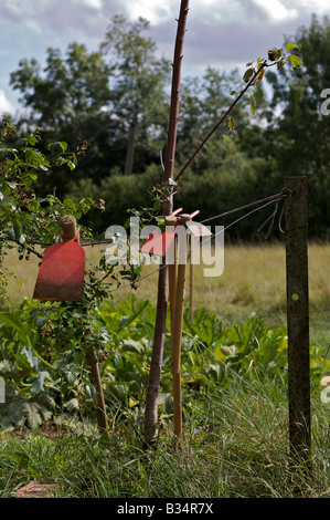 drei rote Pik, Garten ist im Sommer, Küchengarten des Landes Werkzeuge Stockfoto