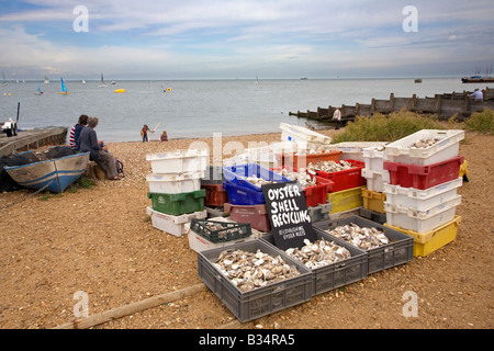 Austernschalen am Strand von Whitstable, kent Stockfoto